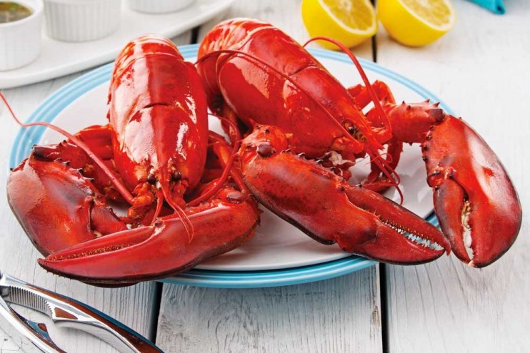 Cuisiner un homard à la vapeur